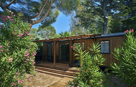 AdobeStock_449016776