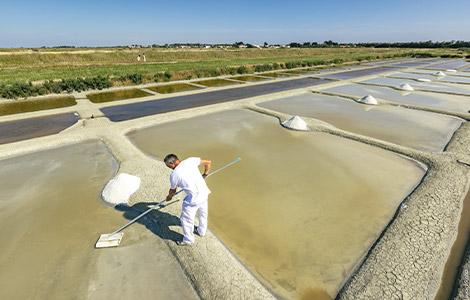 MaraisSalant_Epine©simonbourcier.com-VendeeExpansion