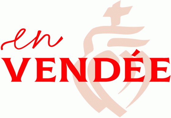 d490d7b4576290fa60eb31b5fc917ad1_114